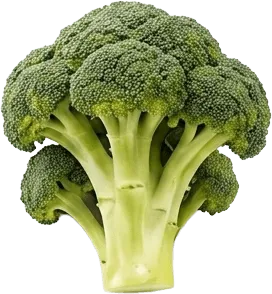 broccoli