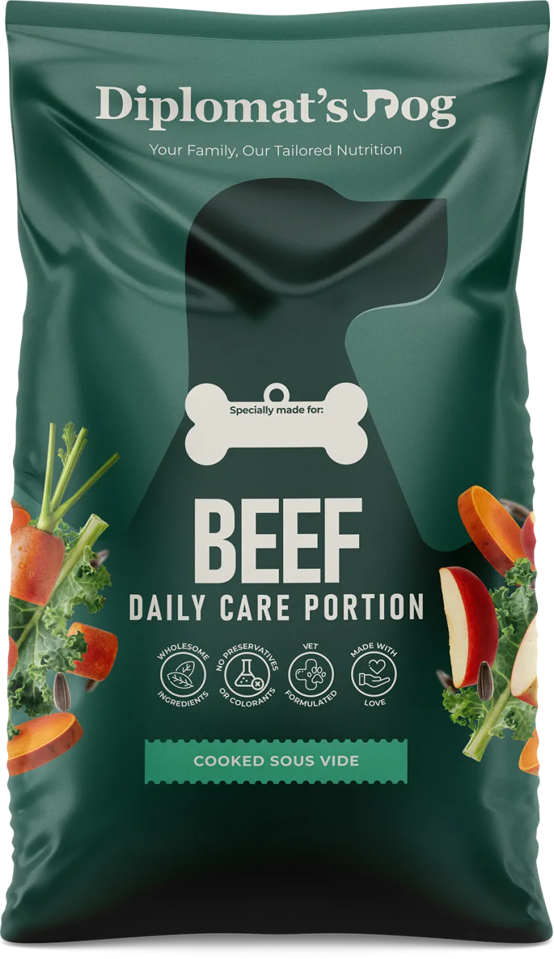 Beef Recipe