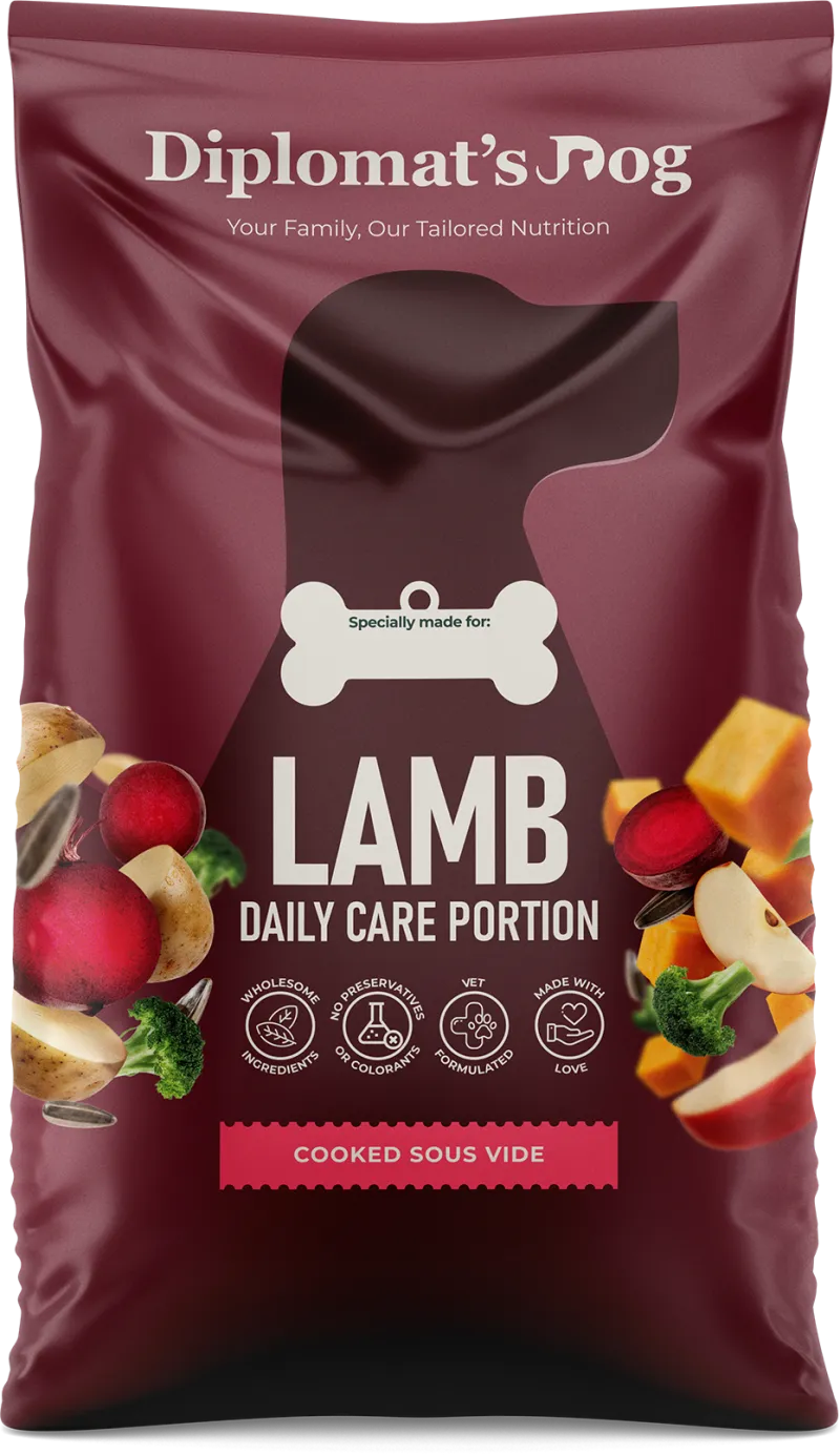 Lamb Recipe