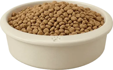 Kibble