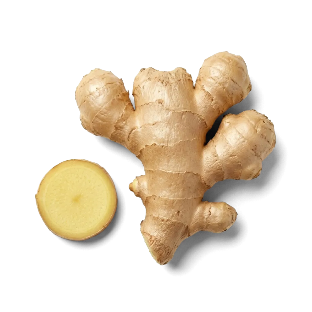 Ginger
