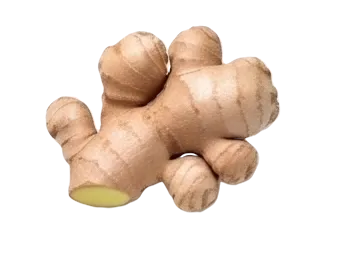 Ginger
