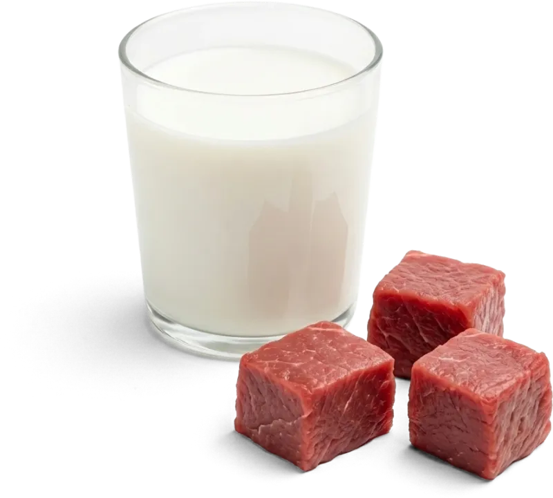 L-CARNITINE